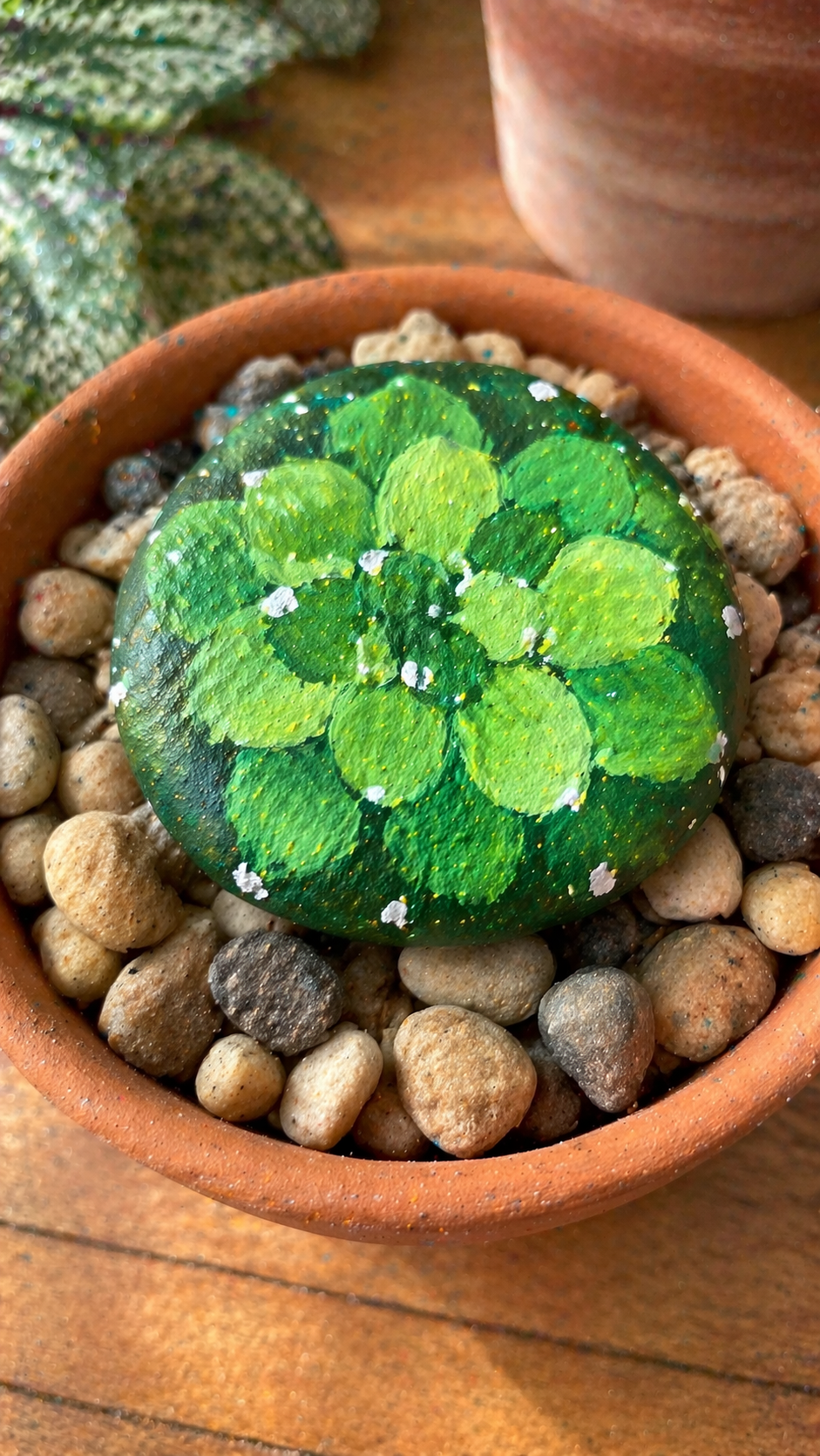 Succulent Painted Rocks