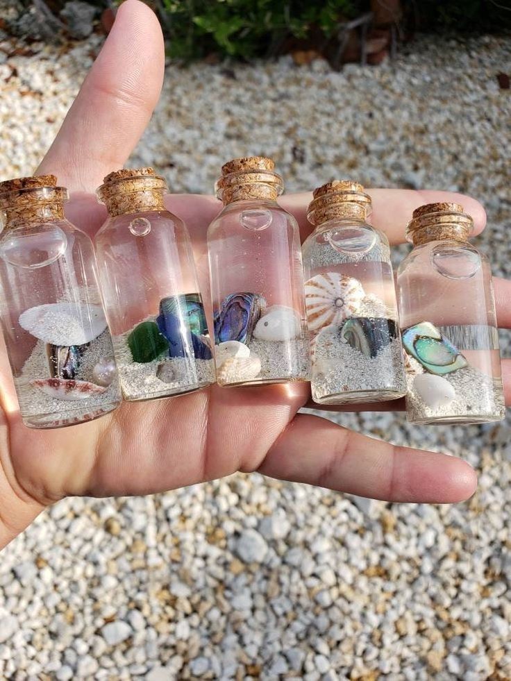 How-to-Make-Seashell-Crafts-Look-Intentional-Instead-of-Random.