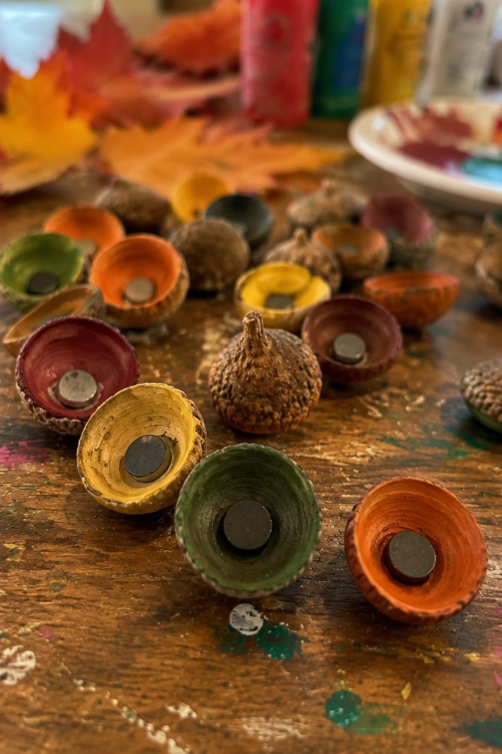 Acorn Painted Magnets