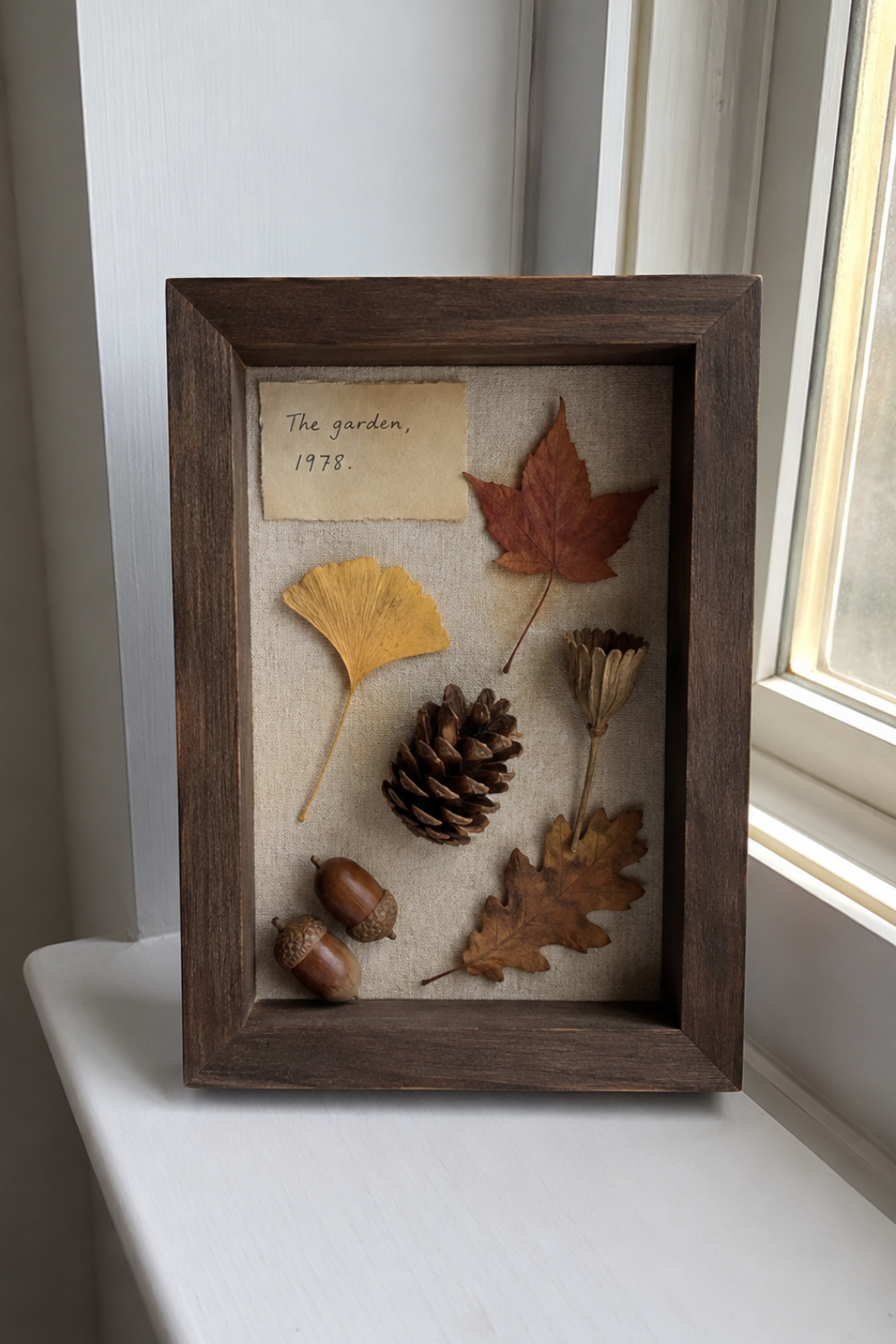 Nature Treasure Shadow Boxes