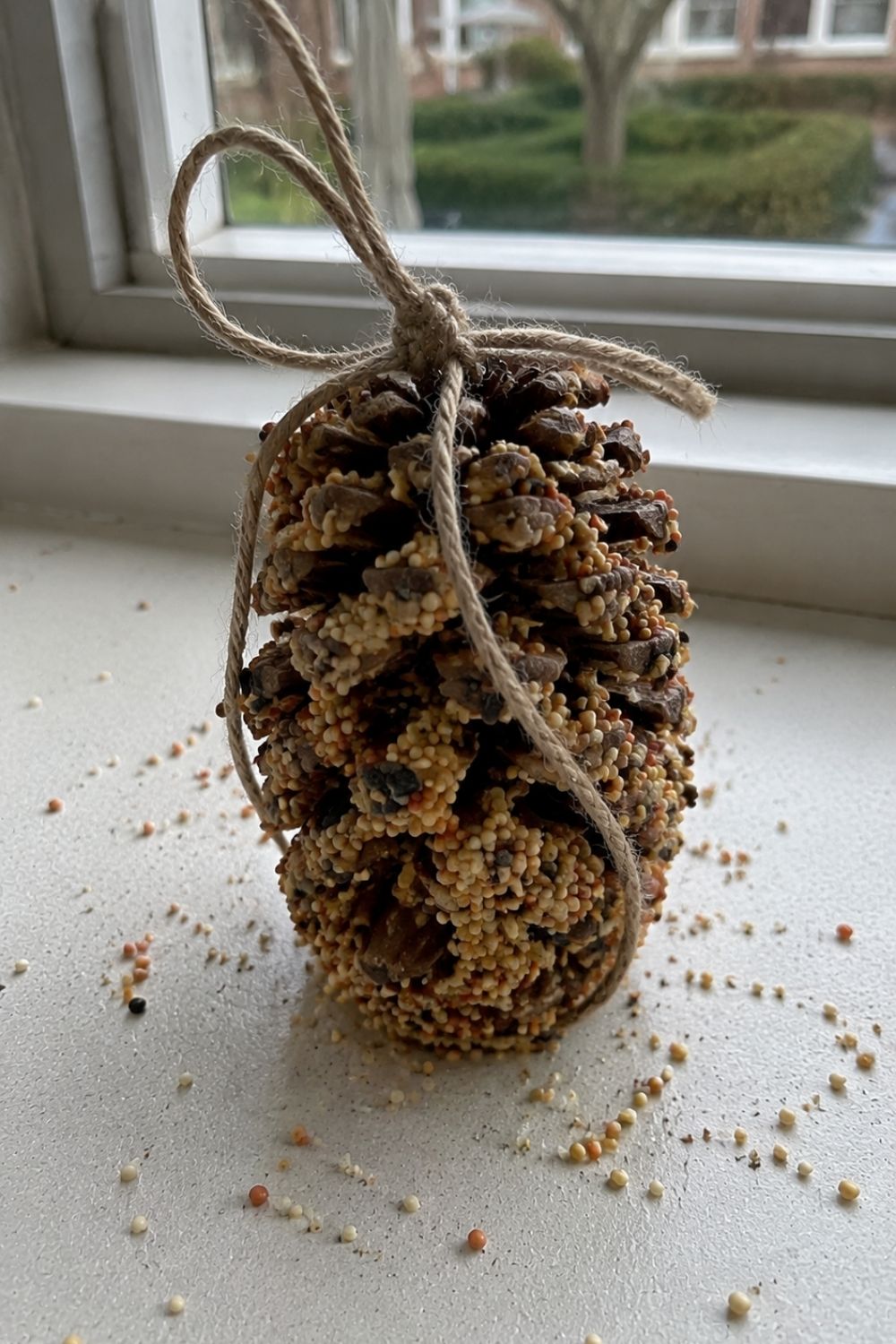 Pinecone Bird Feeder August crafts for seniors in assisted living