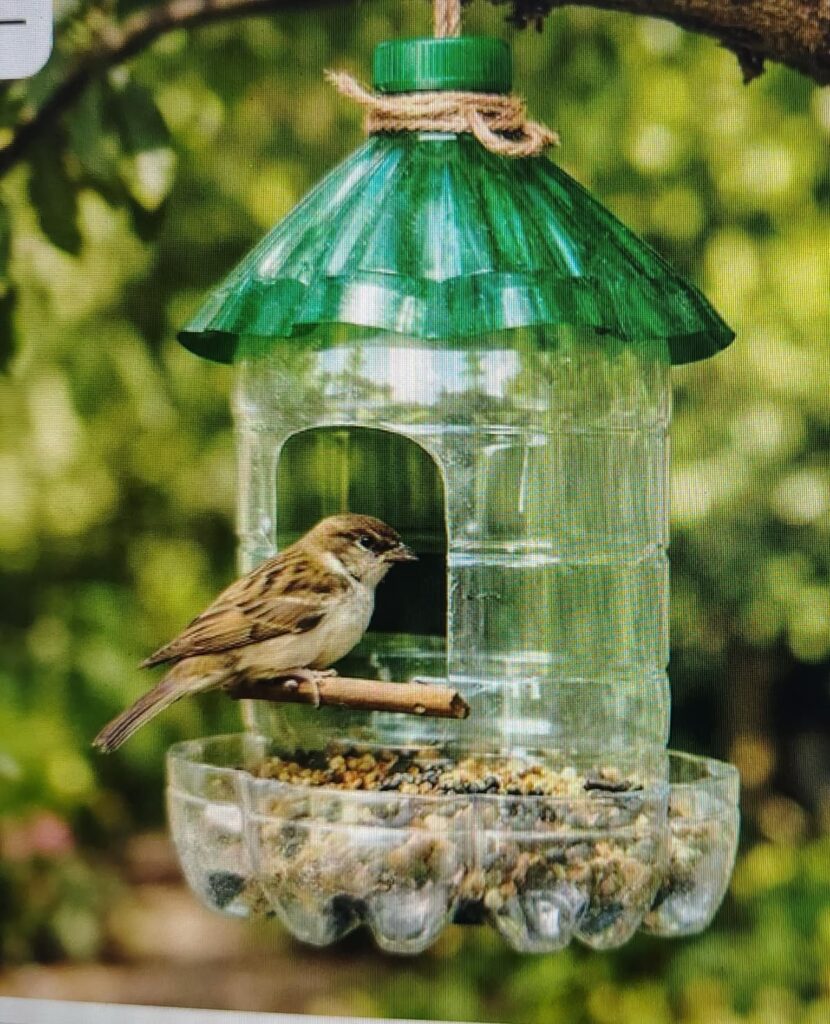 Plastic-Bottle-Bird-Feeder.