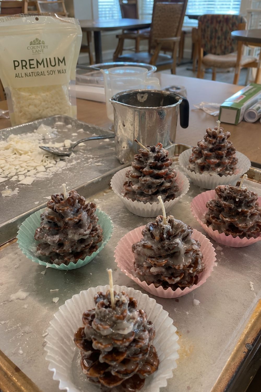 pinecone-fire-starters-for-seniors