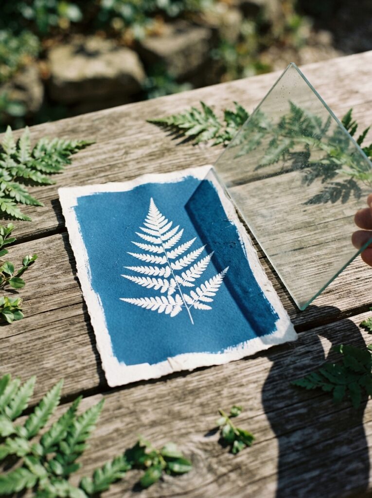 Cyanotype_print_with_fern_leaf.