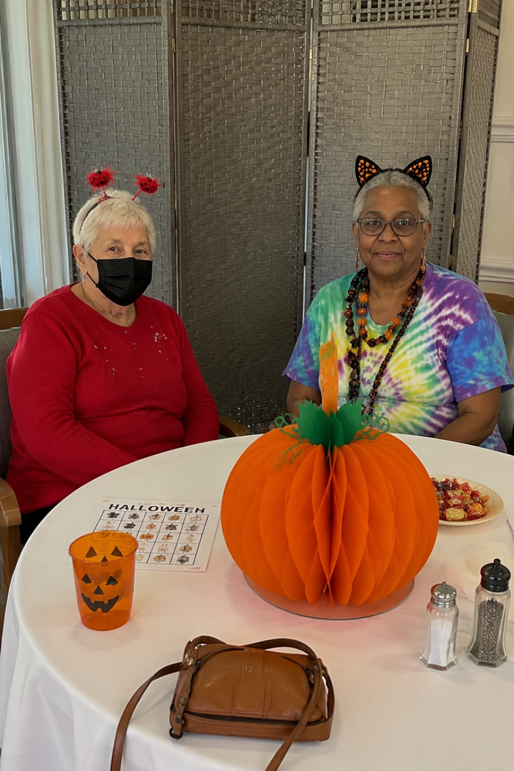halloween-costume-ideas-for-seniors-cat-costume