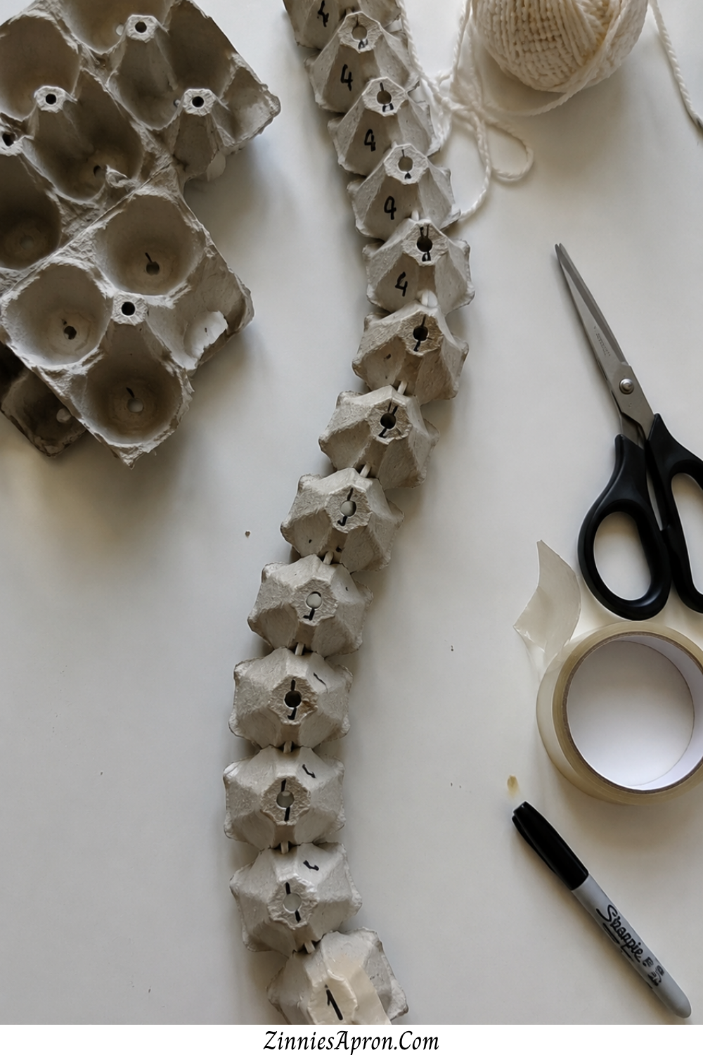 skeleton-crafts-for-kids-egg-carton-spine