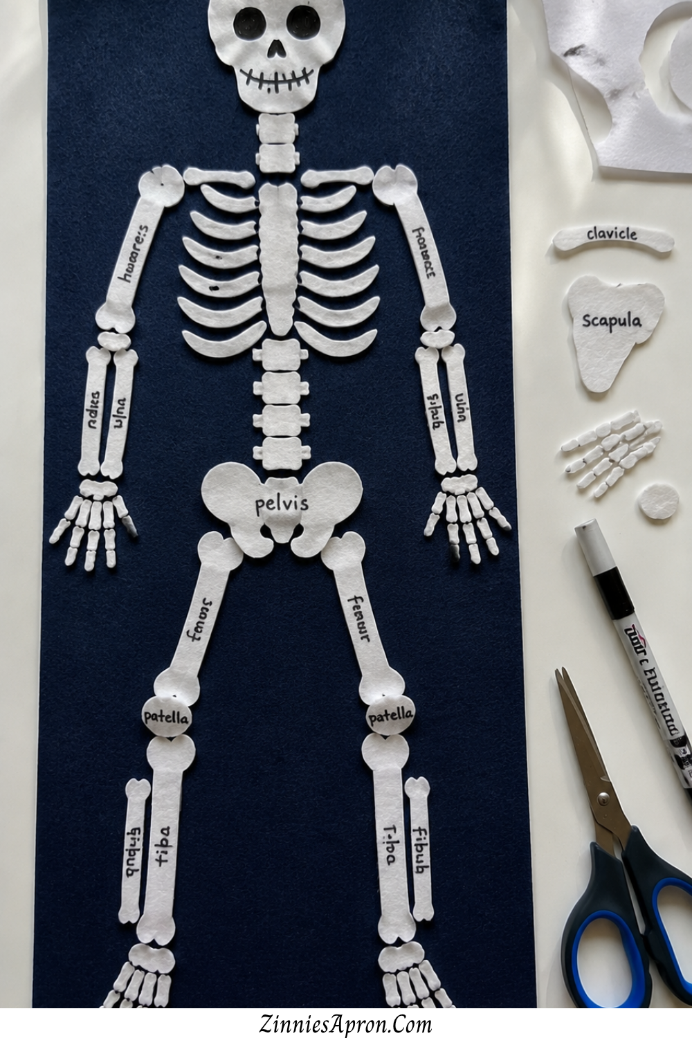 skeleton-crafts-for-kids-felt-board-skeleton