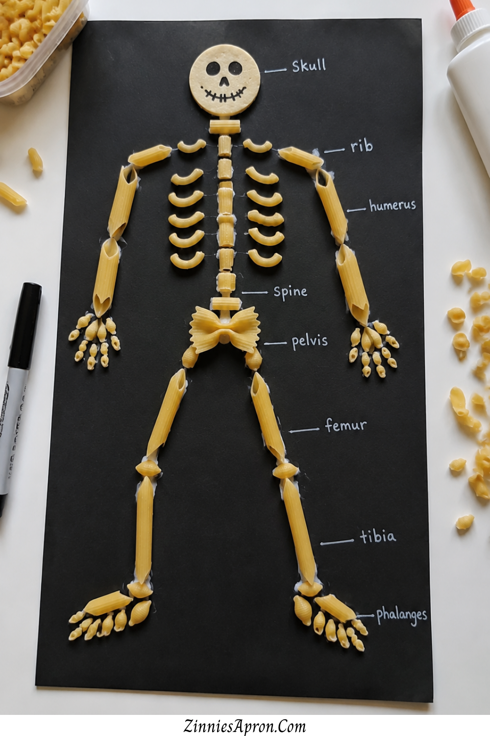 skeleton-crafts-for-kids-pasta-skeleton.jpg