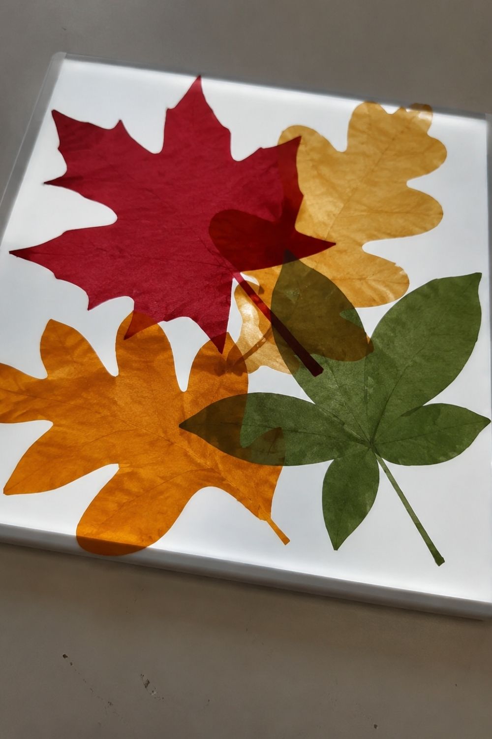 fall-activities-for-assisted-living-fall-color-light-table